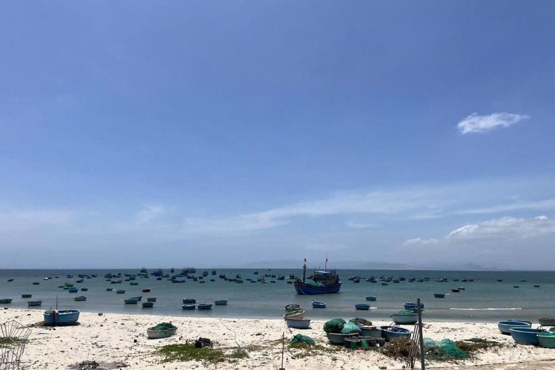 Photo of Others in Ninh Hai