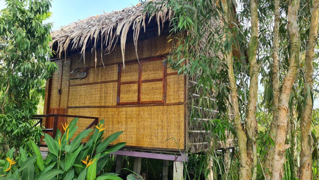 Photo of Others in Tam Nong