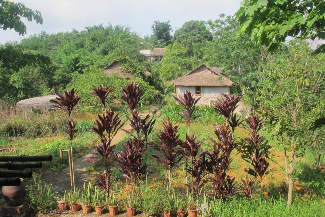 Photo of Others in Mai Chau