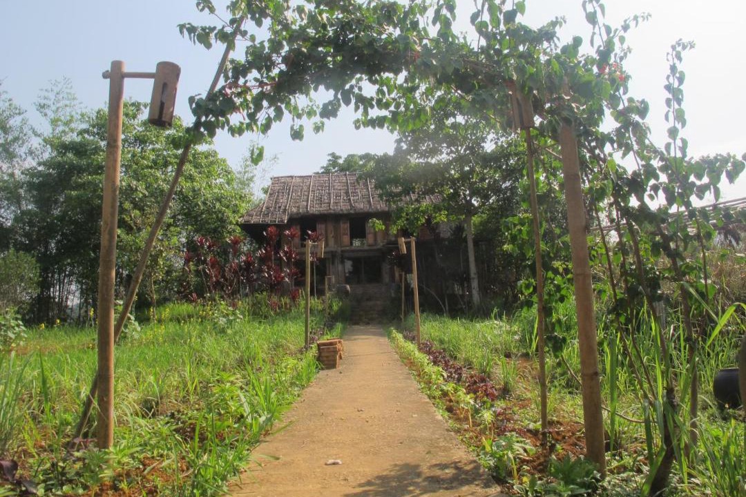 Photo of Others in Mai Chau