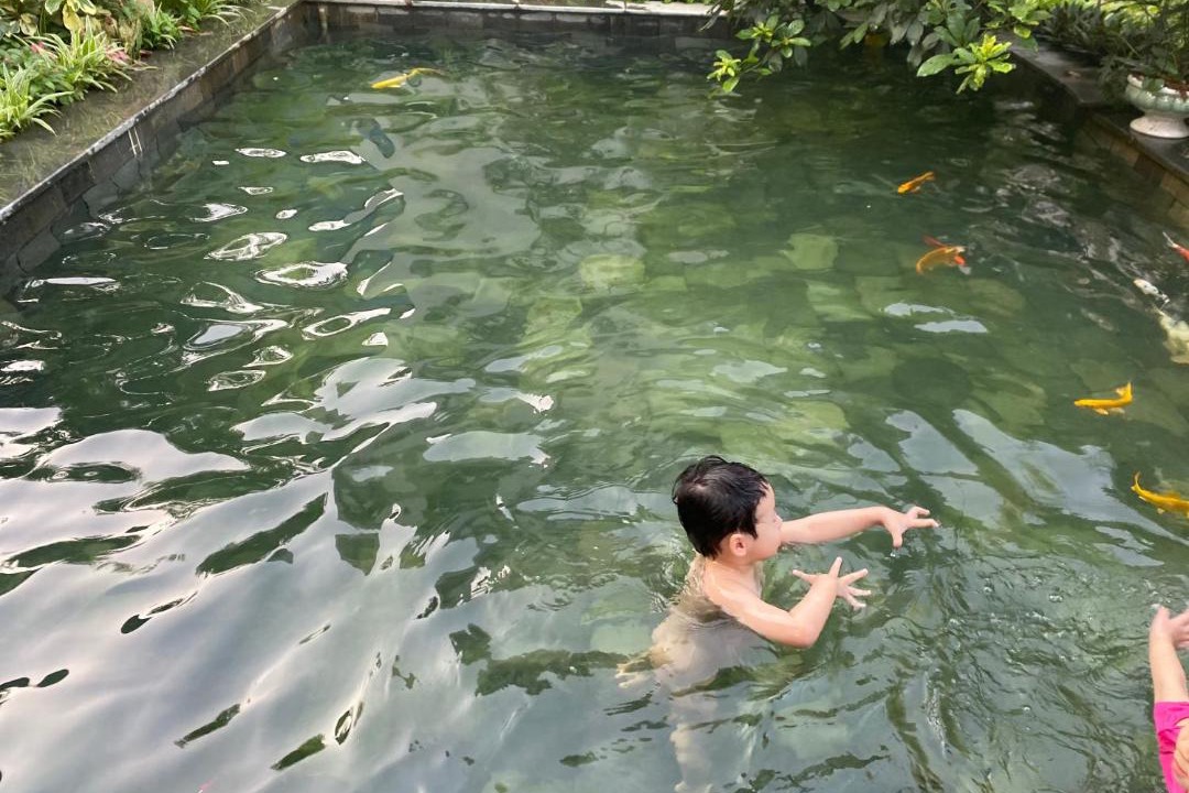 Photo of Others in Dong Anh