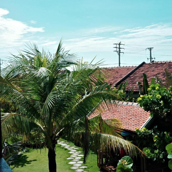 Photo of Others in Dong Hoa