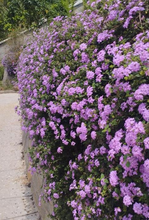 Photo of Outdoor in Bao Loc