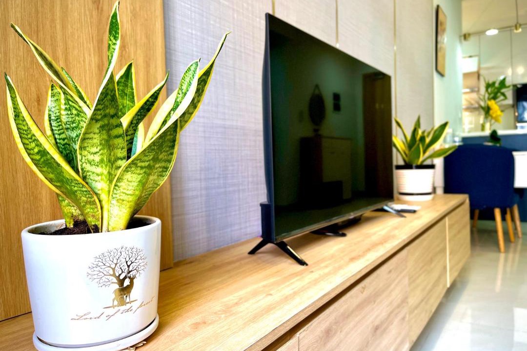 Photo of Livingroom in Tan Phu District