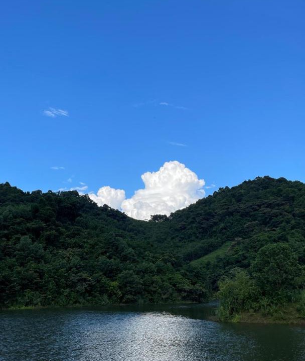 Photo of Others in Tan Lac