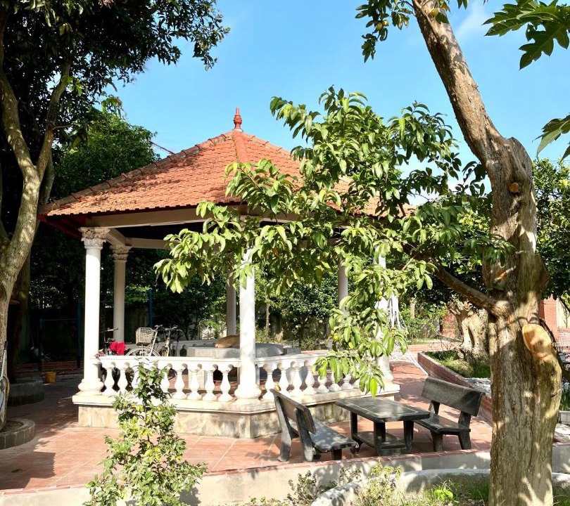 Photo of Others in Vinh Yen
