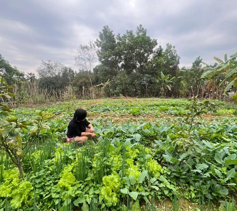 Photo of Others in Tran Yen