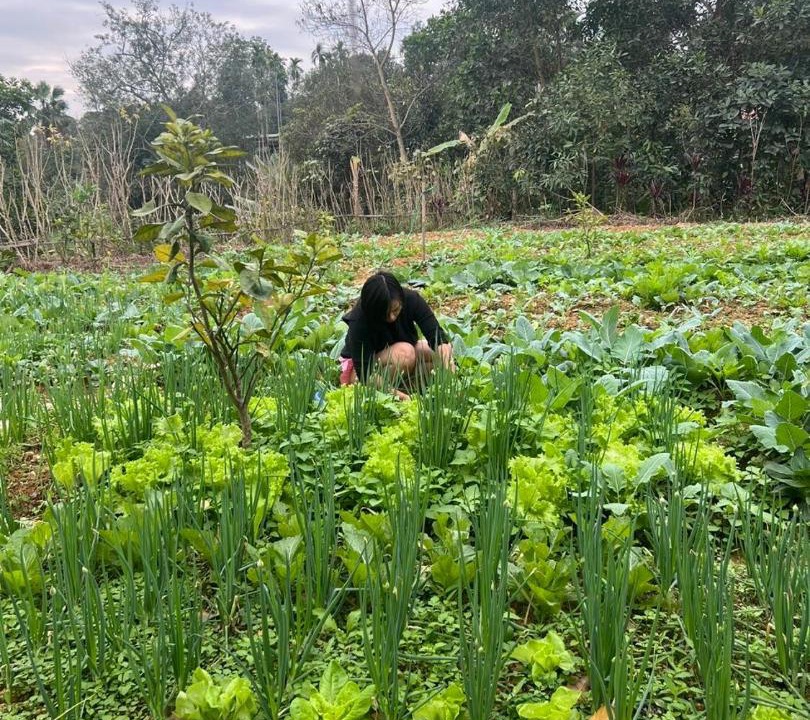 Photo of Outdoor in Tran Yen