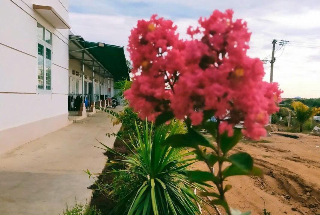 Photo of Others in Van Ninh