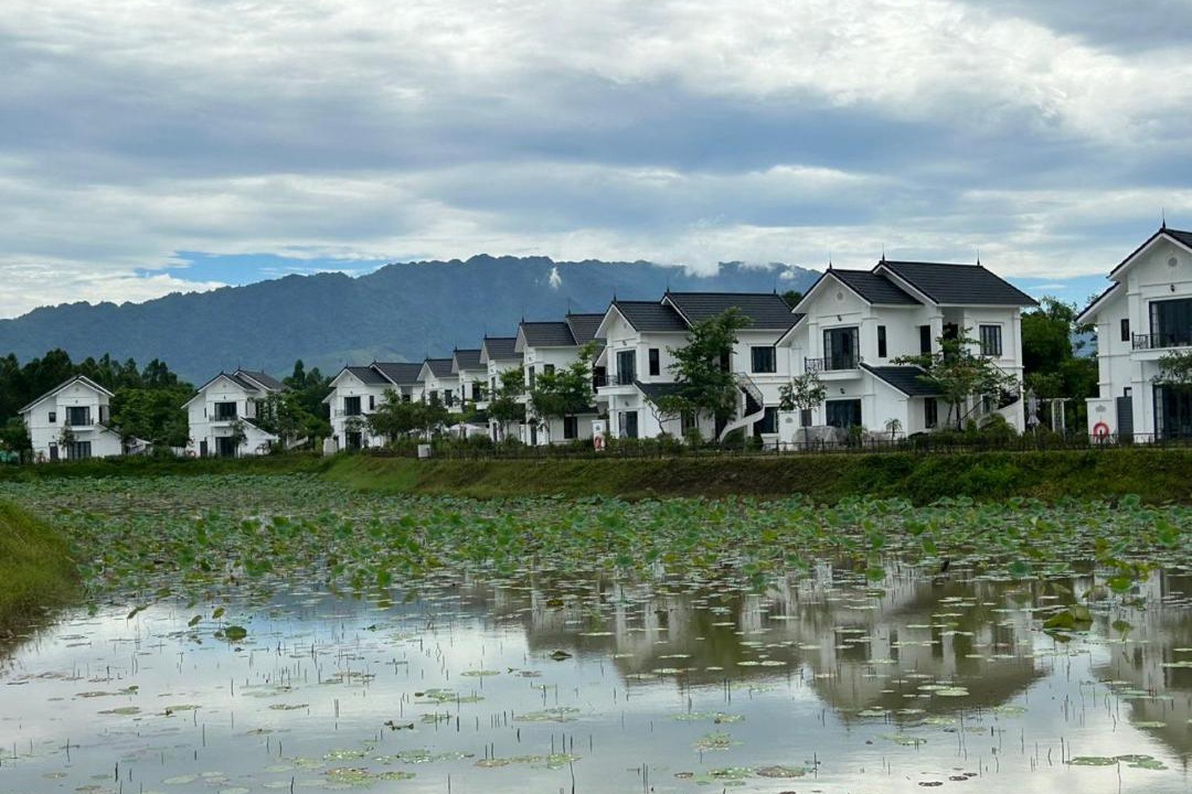 Photo of Others in Thanh Thuy