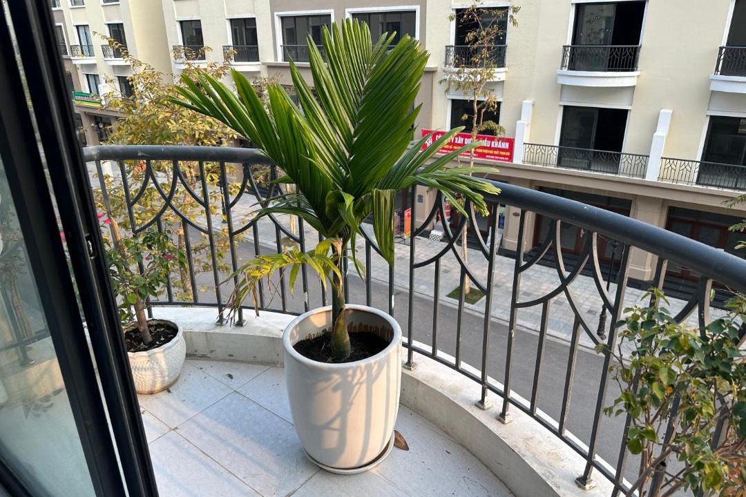 Photo of Patio Balcony in Long Hung