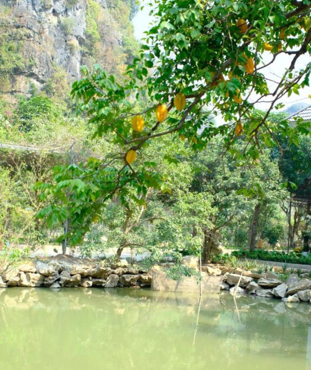 Photo of Others in Hoa Lu