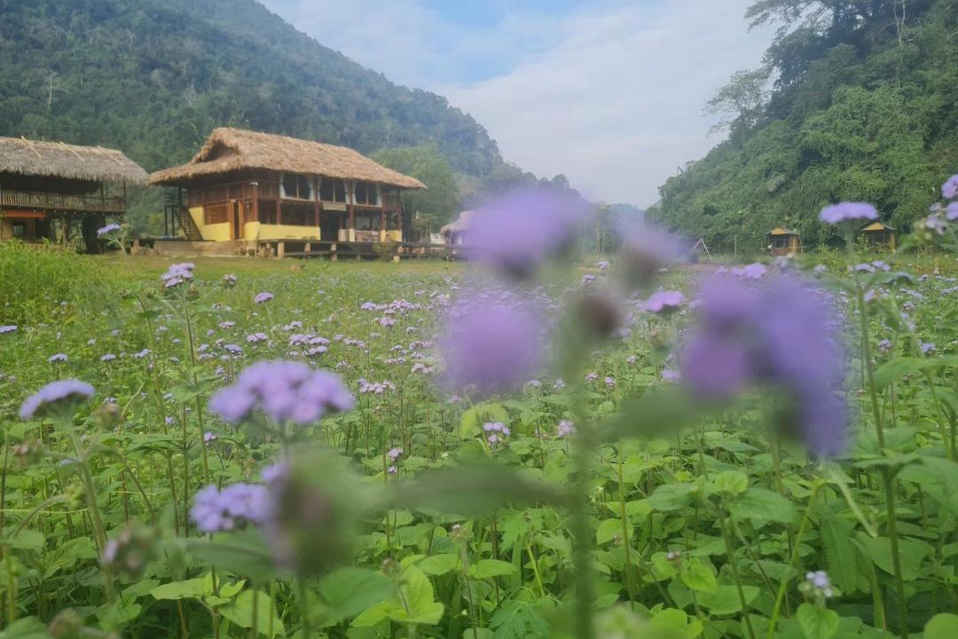 Photo of Others in Nam Mau