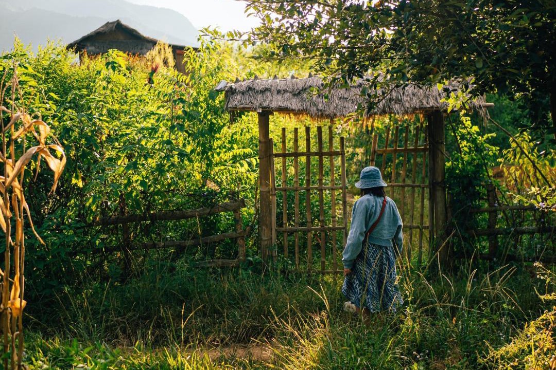 Photo of Others in Muong La