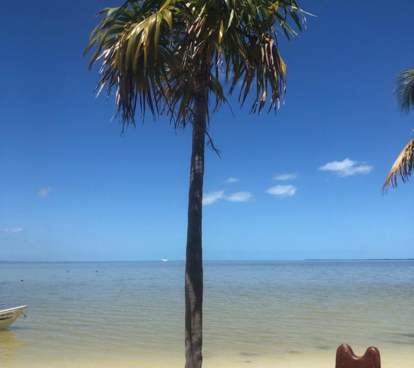 Photo of Others in Colonia Salina Chica