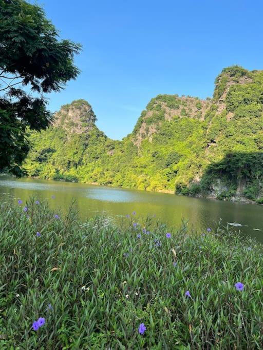 Photo of Others in Hoa Lu