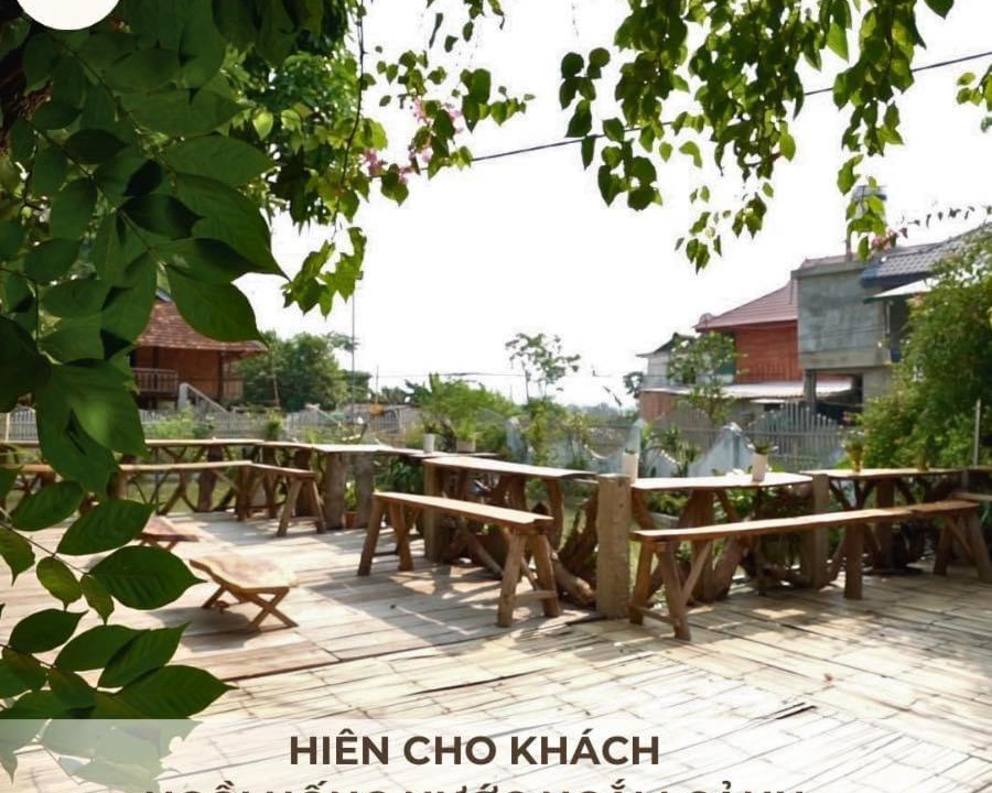Photo of Others in Dien Bien