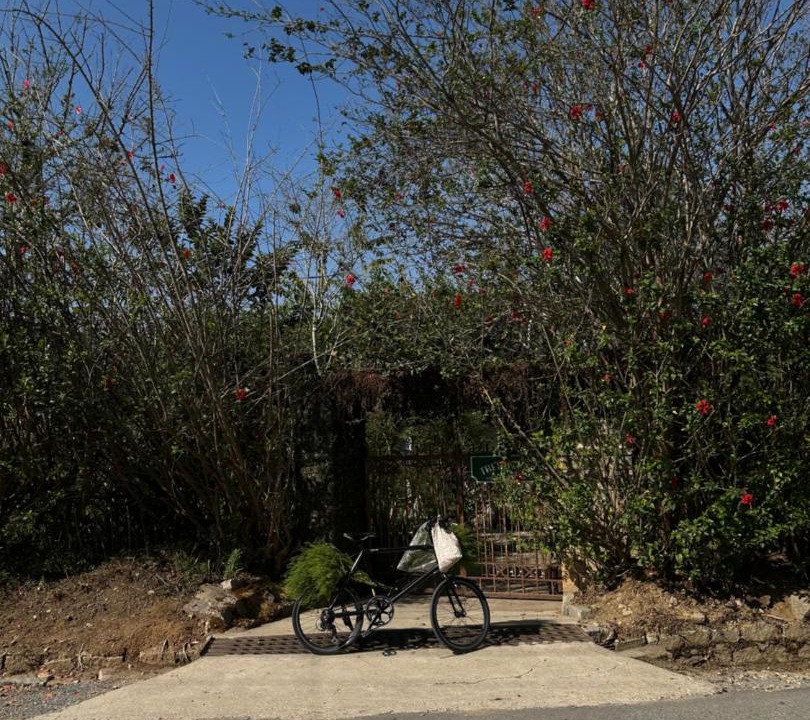 Photo of Outdoor in Phuong
