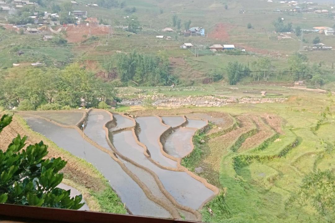 Photo of Others in Sa Pa