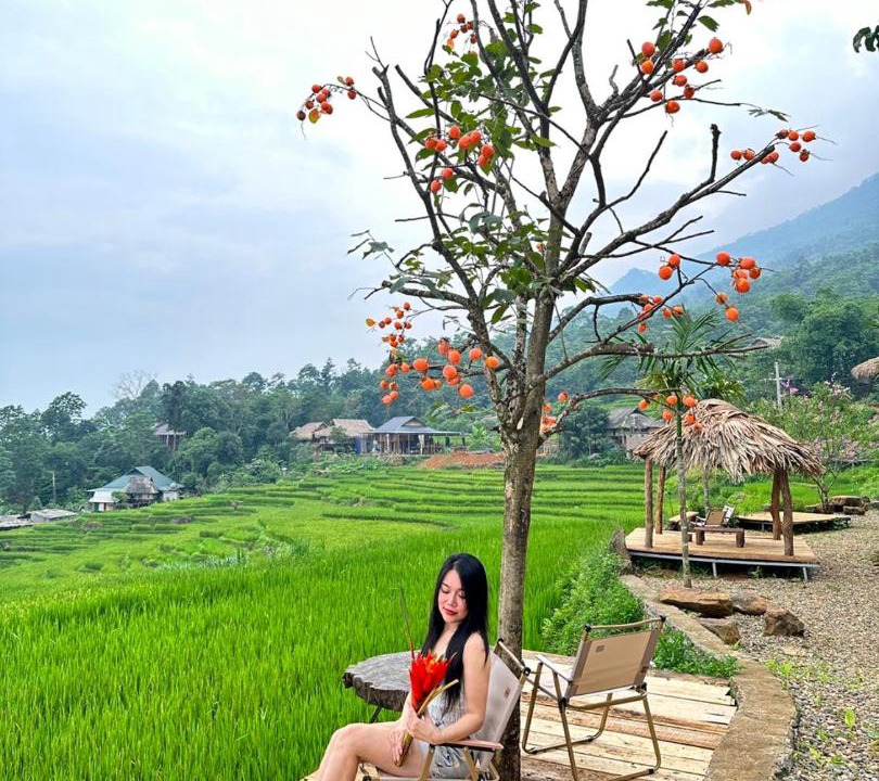 Photo of Others in Pu Long Nature Reserve