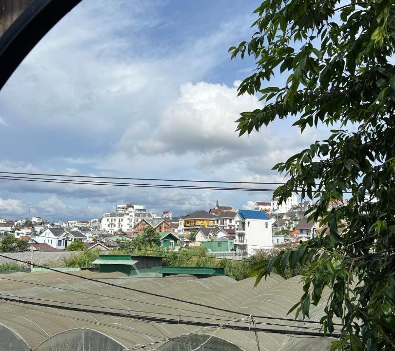 Photo of Others in Phuong