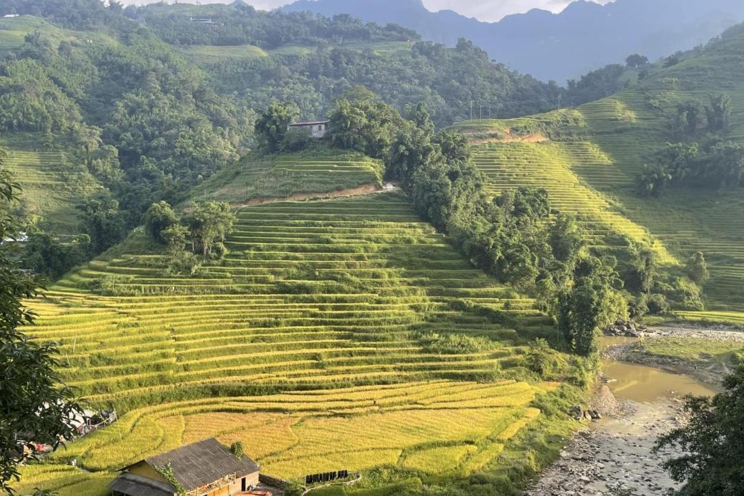Photo of Others in Cha Pai