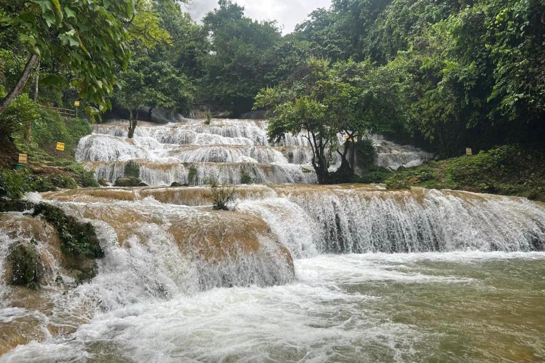 Photo of Others in Thach Thanh