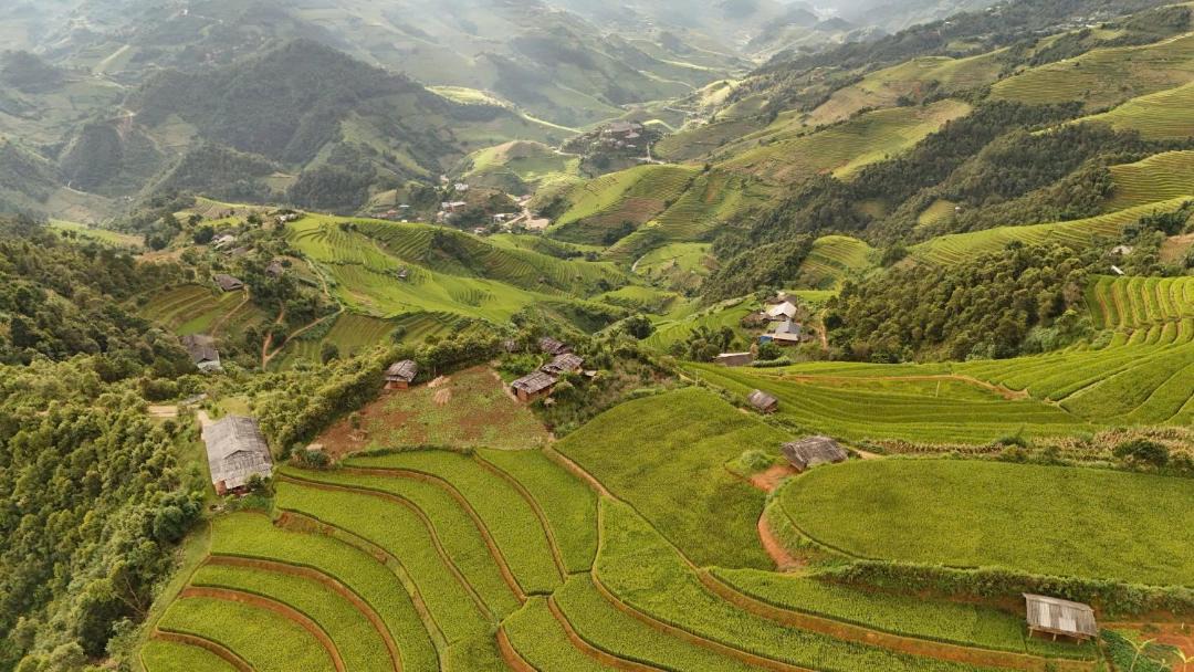 Photo of Others in Mu Cang Chai