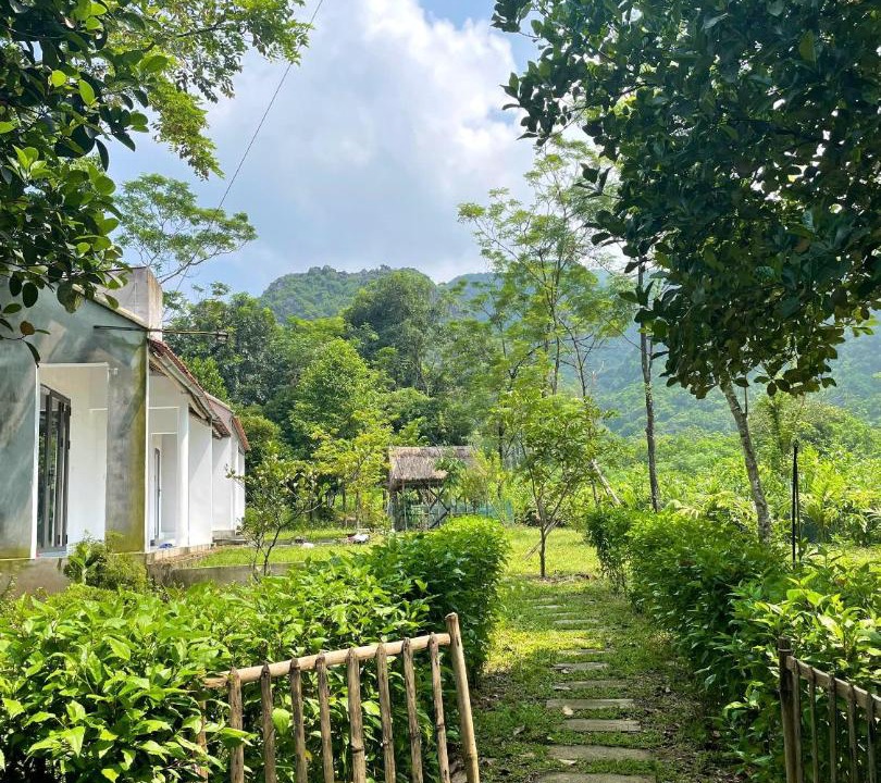 Photo of Others in Gia Vien