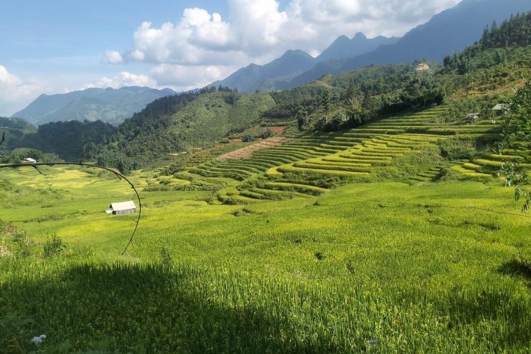 Photo of Others in Sa Pa