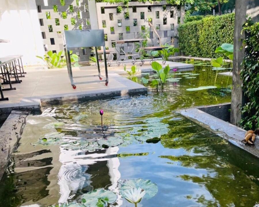 Photo of Others in Long Hai