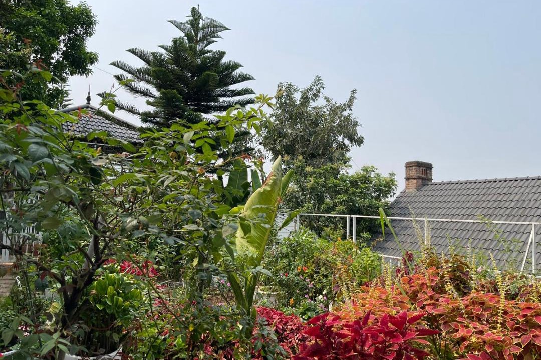Photo of Outdoor in Luong Son