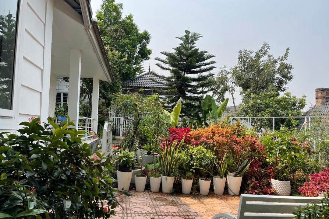 Photo of Others in Luong Son