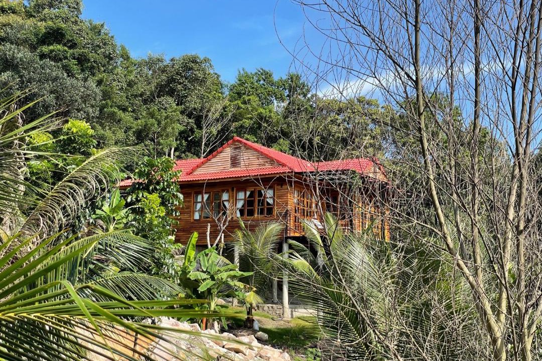 Photo of Buildings in Ham Ninh