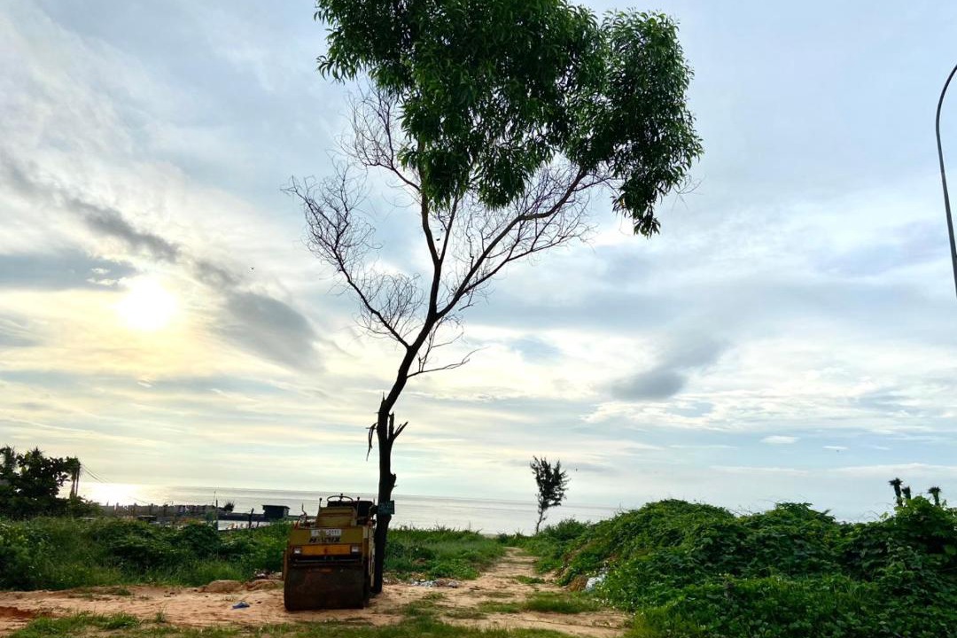 Photo of Others in Phan Thiet