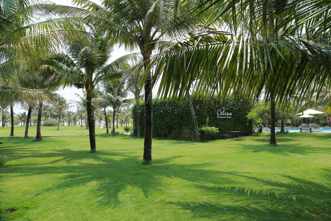 Photo of Others in Bao Ninh