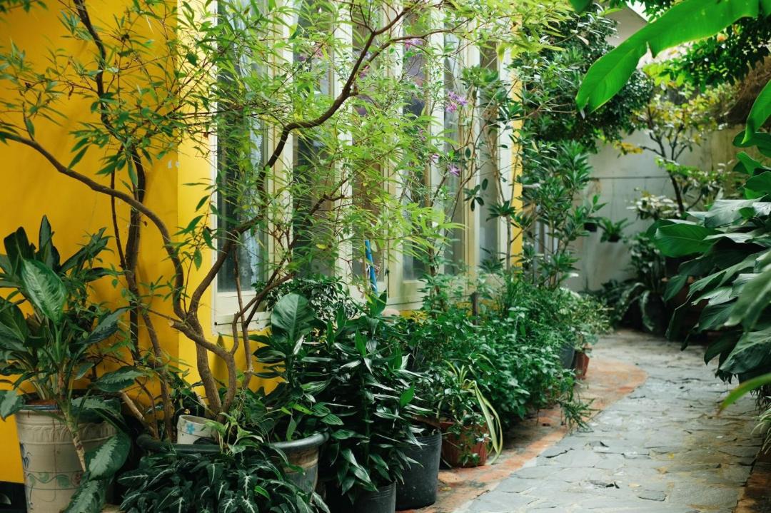 Photo of Others in Hoa Thanh