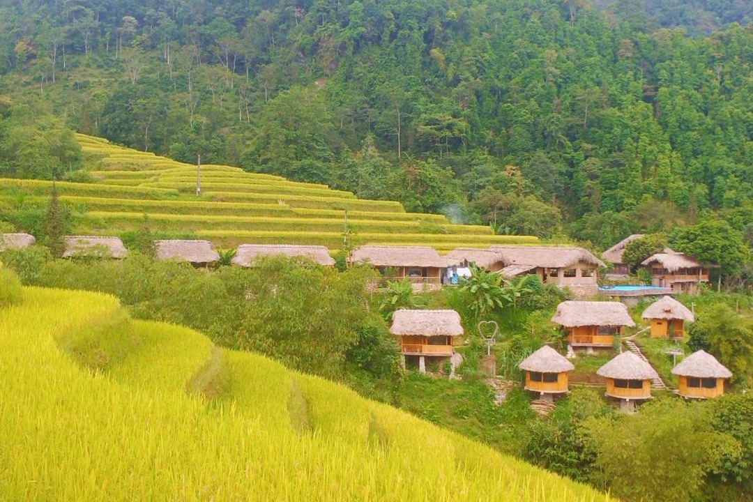 Photo of Others in Thong Nguyen