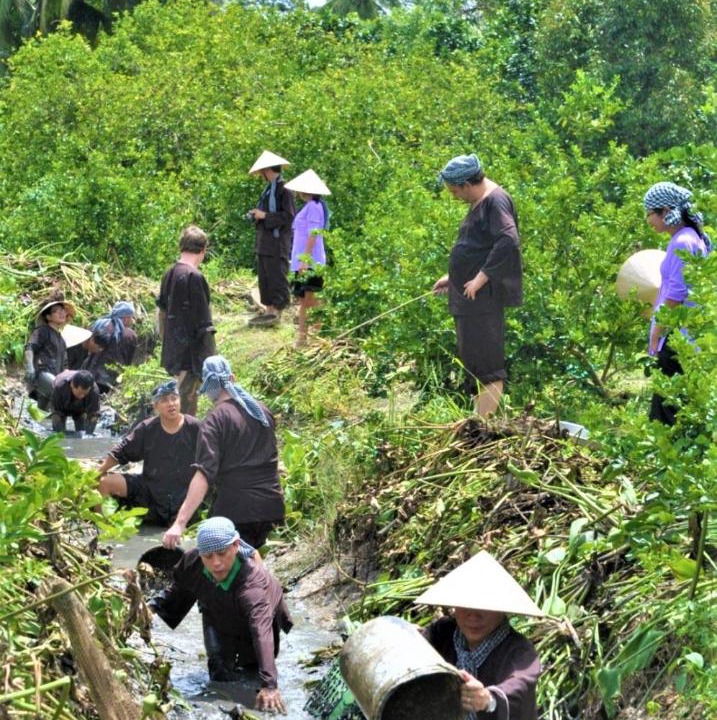 Photo of Others in Đong Hoa Hiep