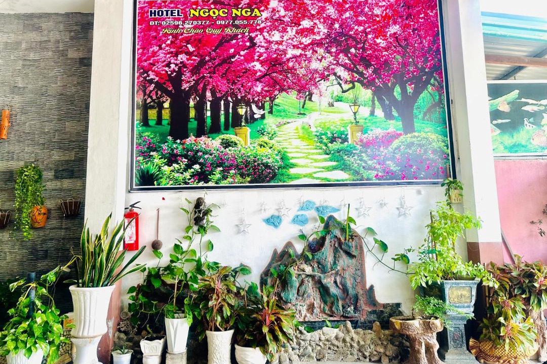 Photo of Others in Ninh Hai