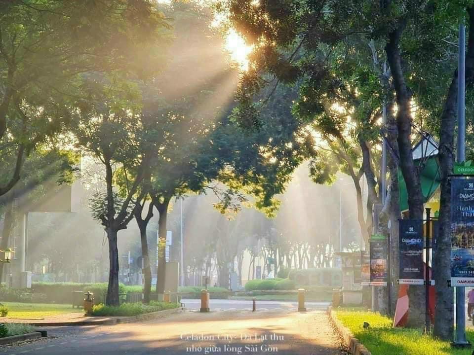 Photo of Others in Tan Phu District