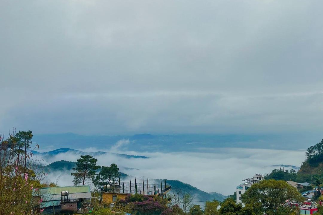 Photo of Others in Tam Dao