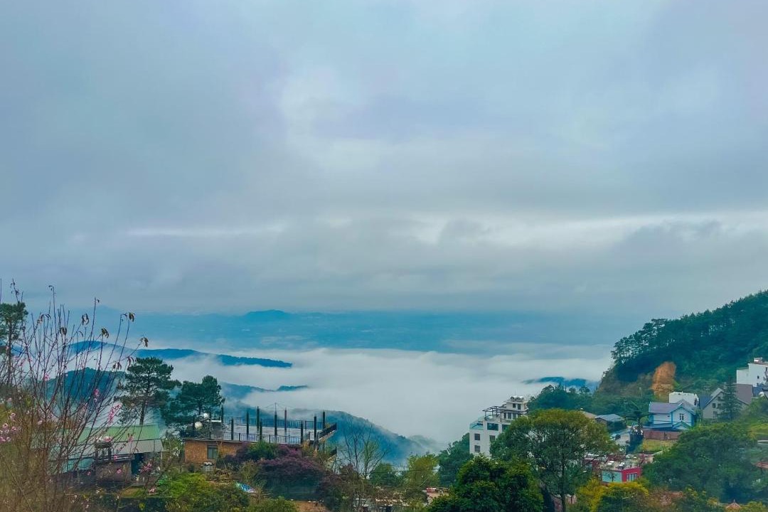 Photo of Others in Tam Dao