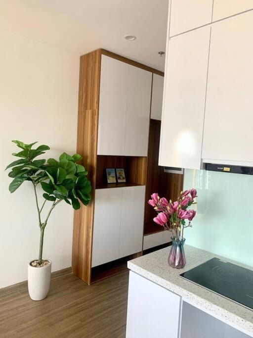 Photo of Kitchen in Tu Liem