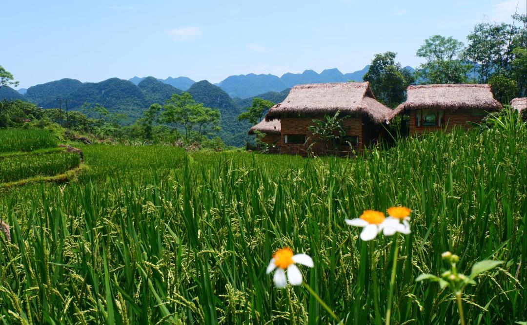 Photo of Others in Pu Long Nature Reserve