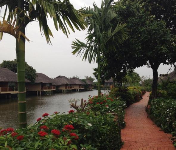 Photo of Others in Chau Thanh