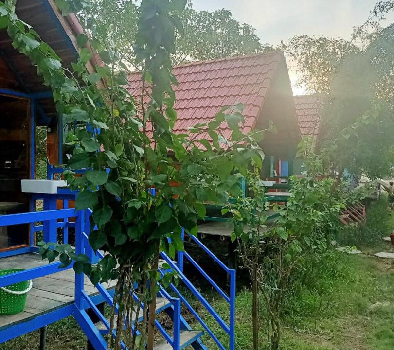 Photo of Others in Quan Tom