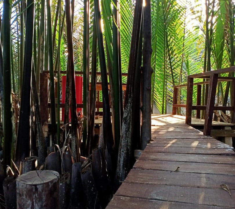 Photo of Others in Ben Tre
