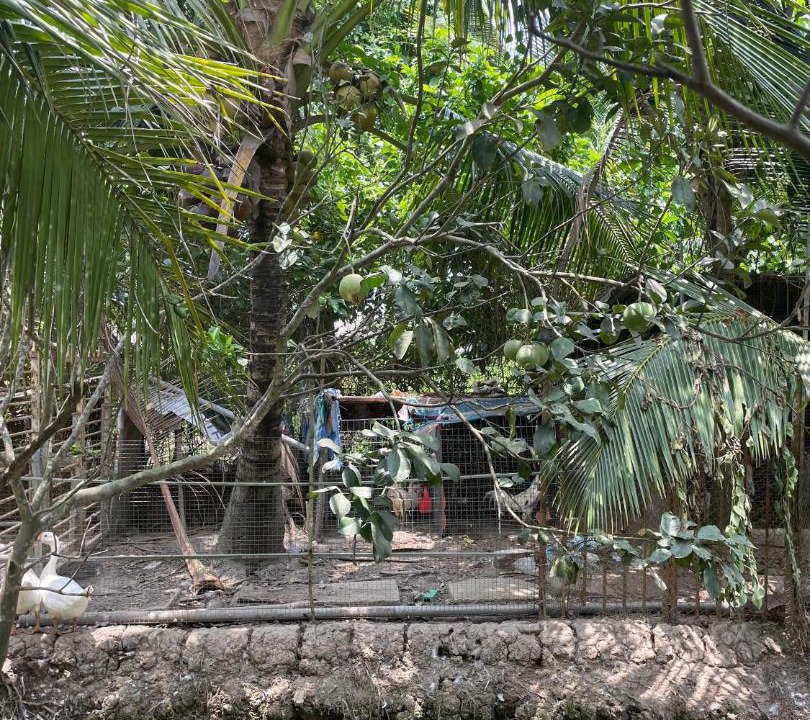 Photo of Others in Phong Dien