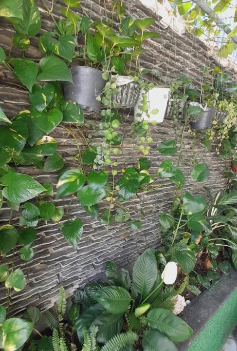 Photo of Others in Ninh Hai